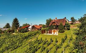 Holiday Home Wine & Relax Sveti Martin Na Muri